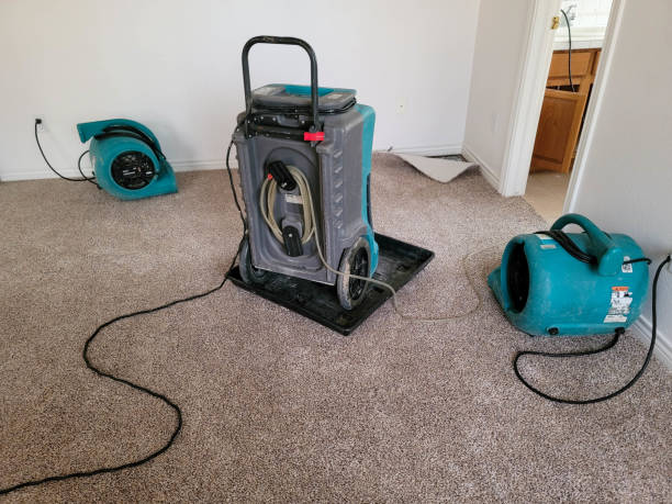 Best Commercial water damage restoration  in Oak Bluffs, MA