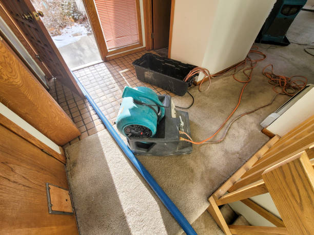 Best Water damage cleanup near me  in Oak Bluffs, MA