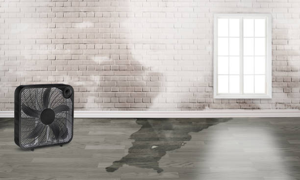  Oak Bluffs, MA Water damage restoration Pros