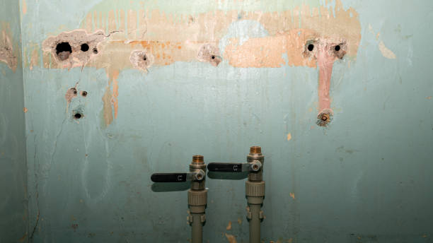Best Water damage restoration insurance claims  in Oak Bluffs, MA